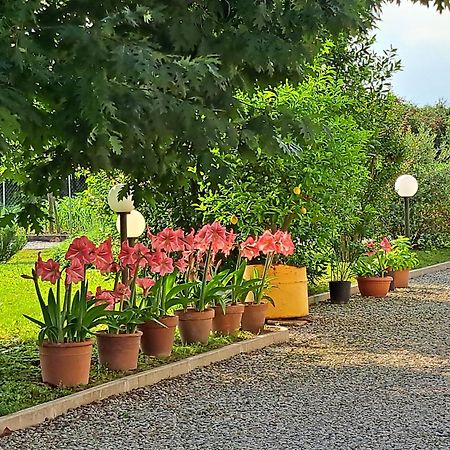 Borgo Barucchella Hotell Sant'Andra Eksteriør bilde