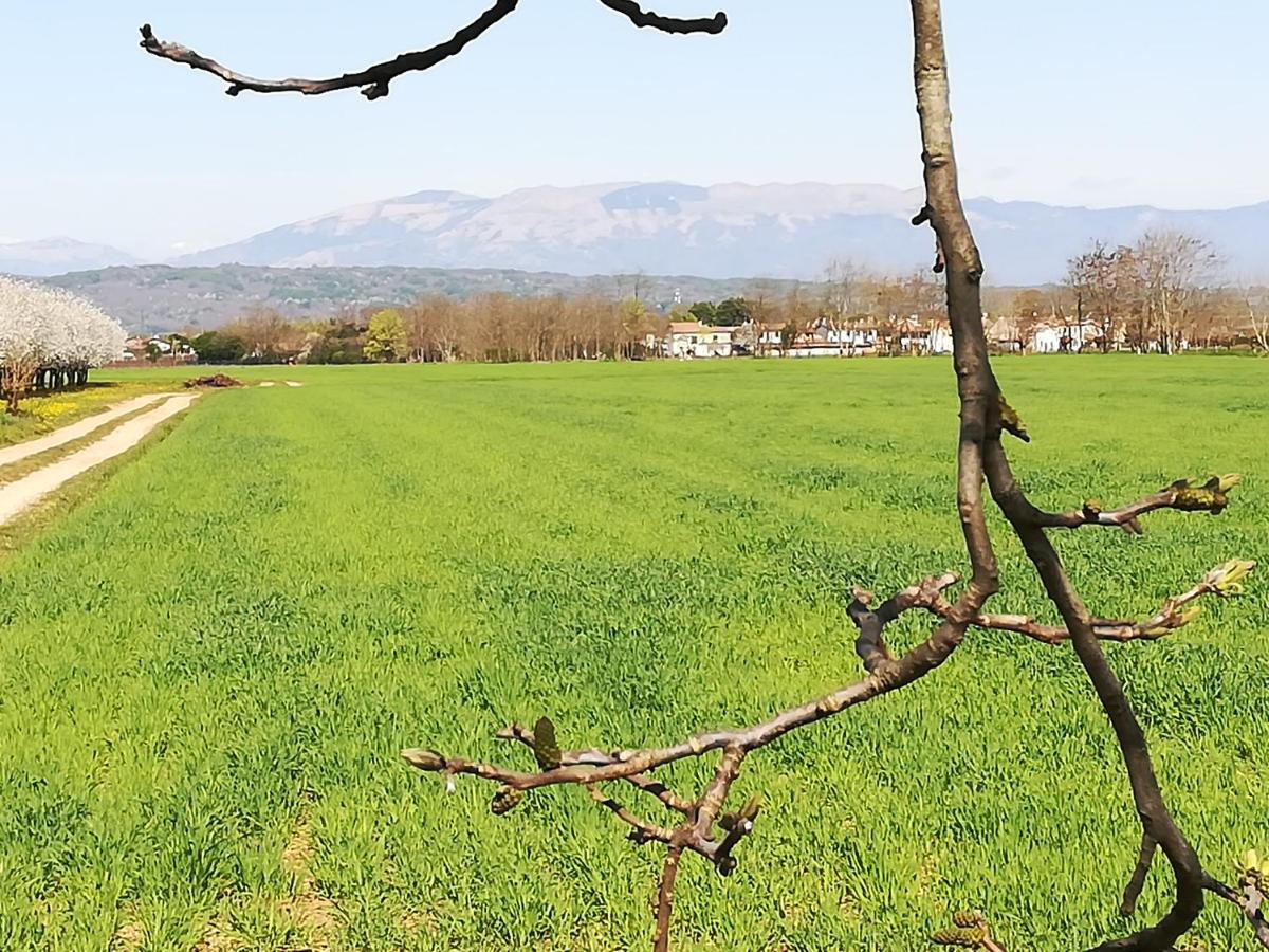 Borgo Barucchella Hotell Sant'Andra Eksteriør bilde