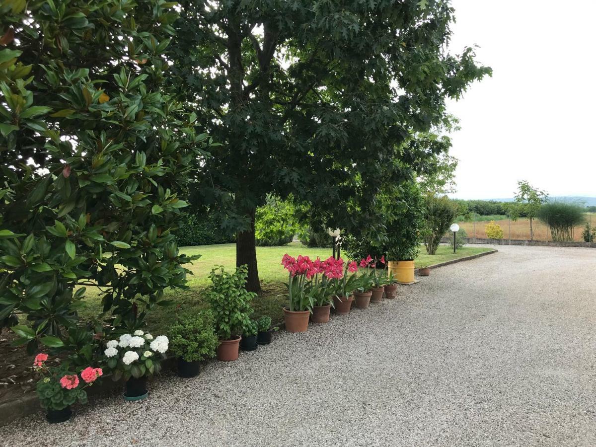 Borgo Barucchella Hotell Sant'Andra Eksteriør bilde