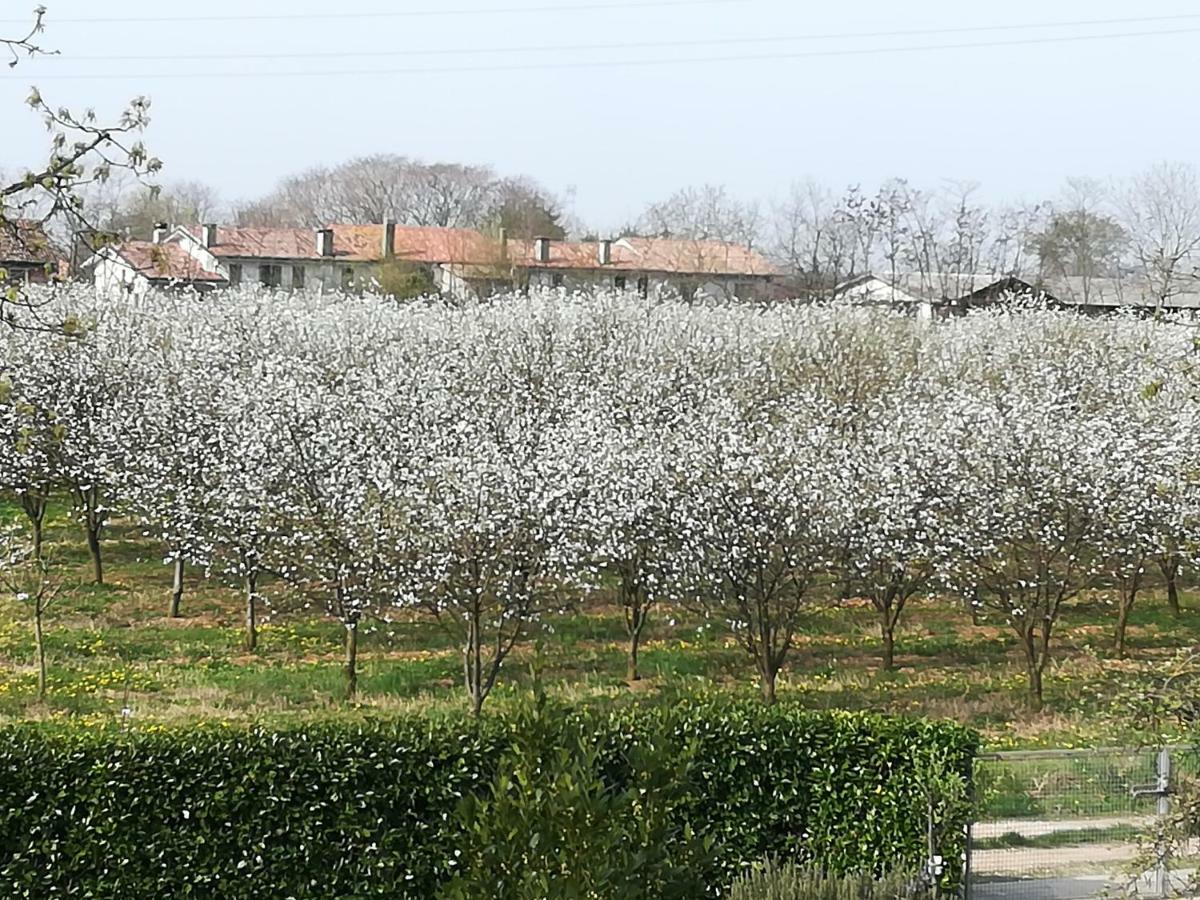 Borgo Barucchella Hotell Sant'Andra Eksteriør bilde